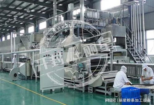 機械化加工粉條的優勢、常見問題及解決方案全解析