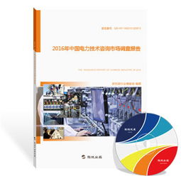 2016年中國(guó)電力技術(shù)咨詢(xún)市場(chǎng)調(diào)查報(bào)告