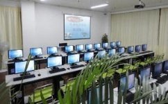 計(jì)算機(jī)技術(shù)培訓(xùn)與咨詢(xún) 解鎖數(shù)字化時(shí)代的核心能力